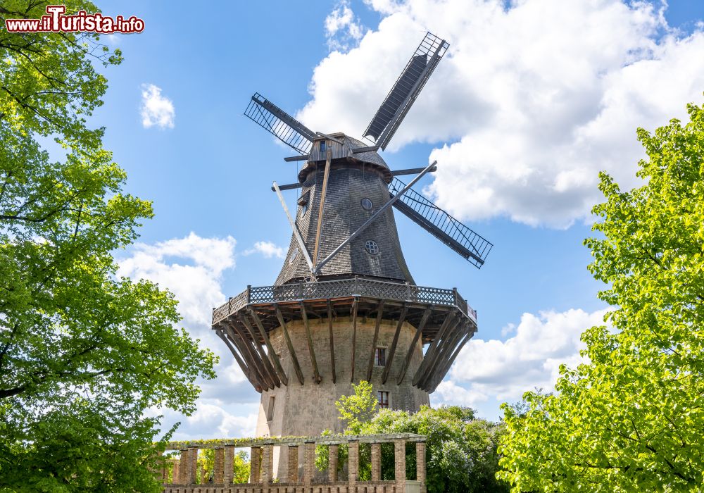 Immagine Lo storico mulino a vento in legno del parco di Sanssouci  a Potsdam, Germania