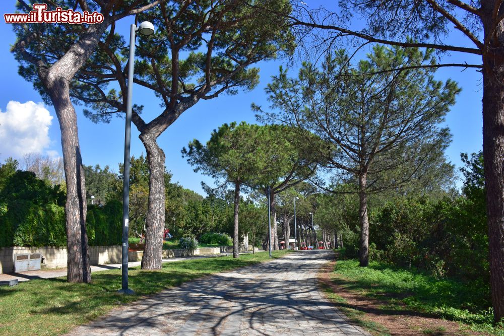 Immagine Il verde del Parco Virgiliano di Posillipo uno dei polmoni verdi di Napoli