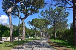 Il verde del Parco Virgiliano di Posillipo uno dei polmoni verdi di Napoli