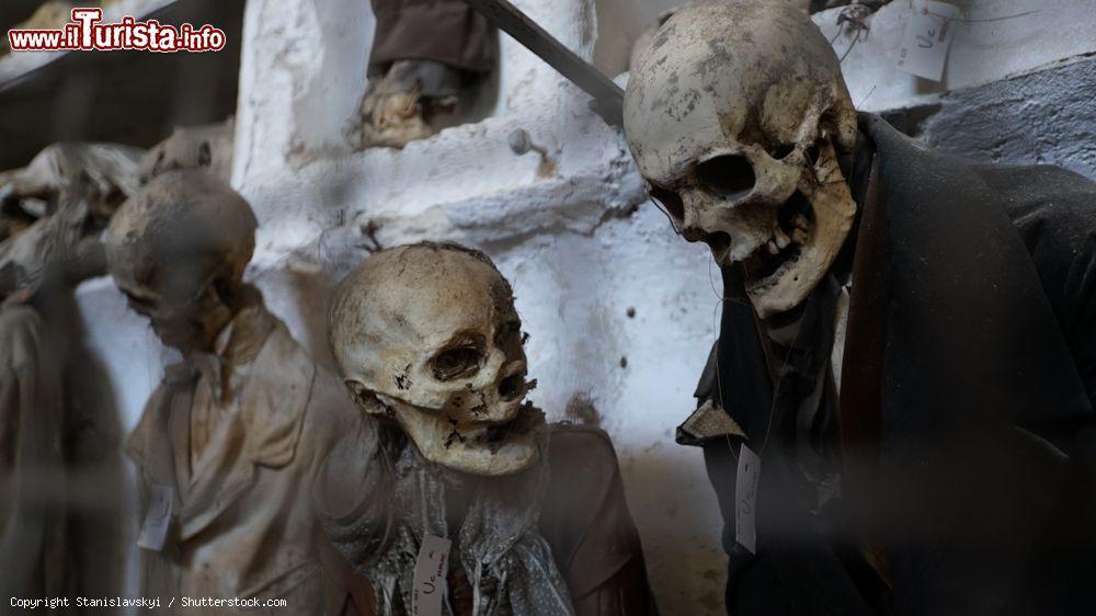Immagine Una scena macabra tra i corridoi colmi di scheletri delle Catacombe dei Cappuccini a Palermo - © Stanislavskyi / Shutterstock.com