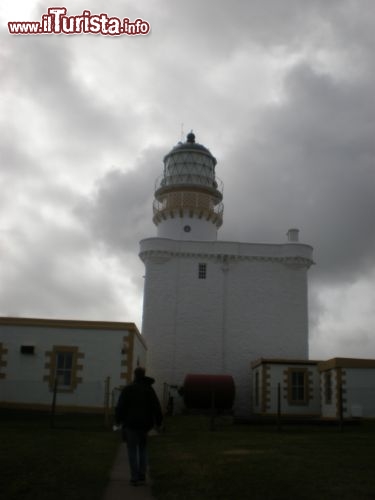 Fresenburgh Faro