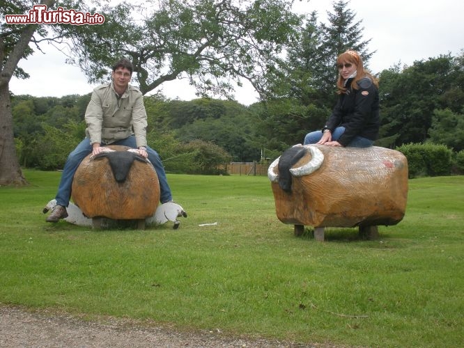Stornoway