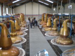 Distilleria Glenfiddich