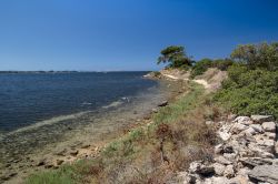 Una spiaggia di Mozia, anche conosciuta come Isola di San Pantaleo in Sicilia