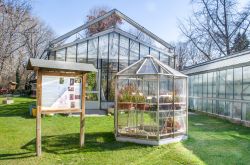 Le serre dell'Orto Botanico di Bologna in zona universitaria - © Luca Lorenzelli / Shutterstock.com