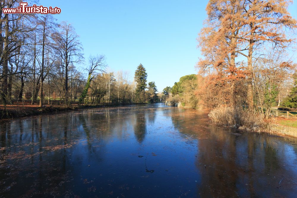 Immagine Il lago interno ai Giardini Margherita di Bologna fotografato in inverno