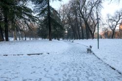 Una nevicata imbianca i Giardini Margherita in centro a Bologna, Emilia-Romagna