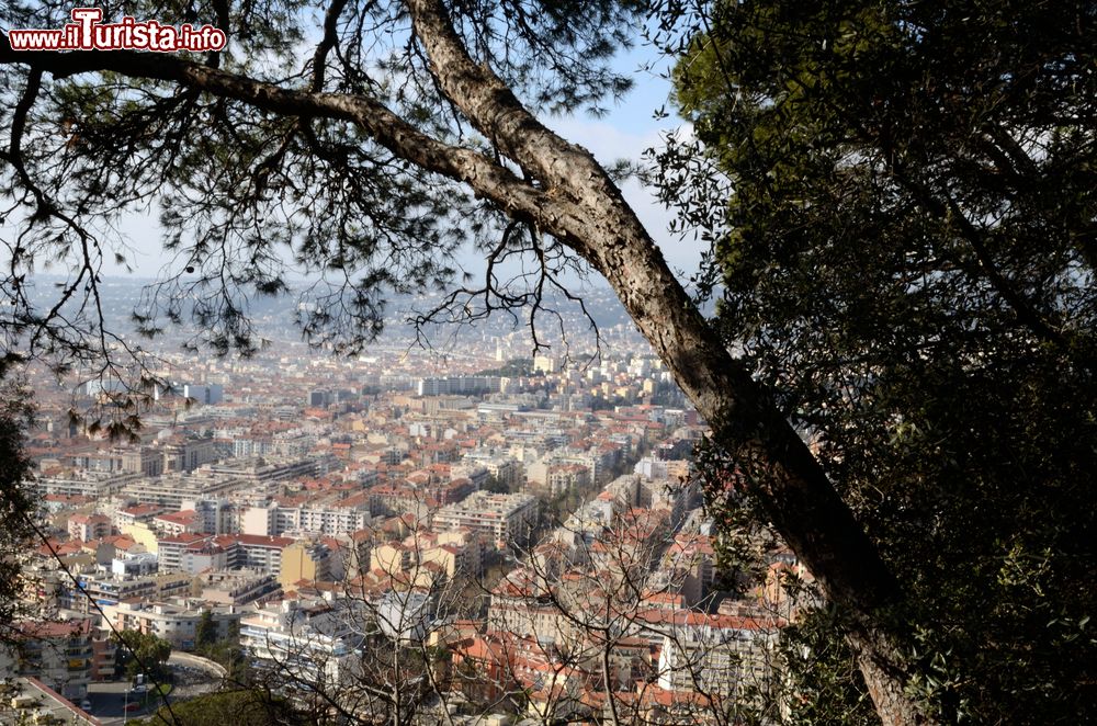 Immagine Passeggiata sul Mont Boron con ottimi scorci su Nizza e i paesaggi della Costa Azzurra