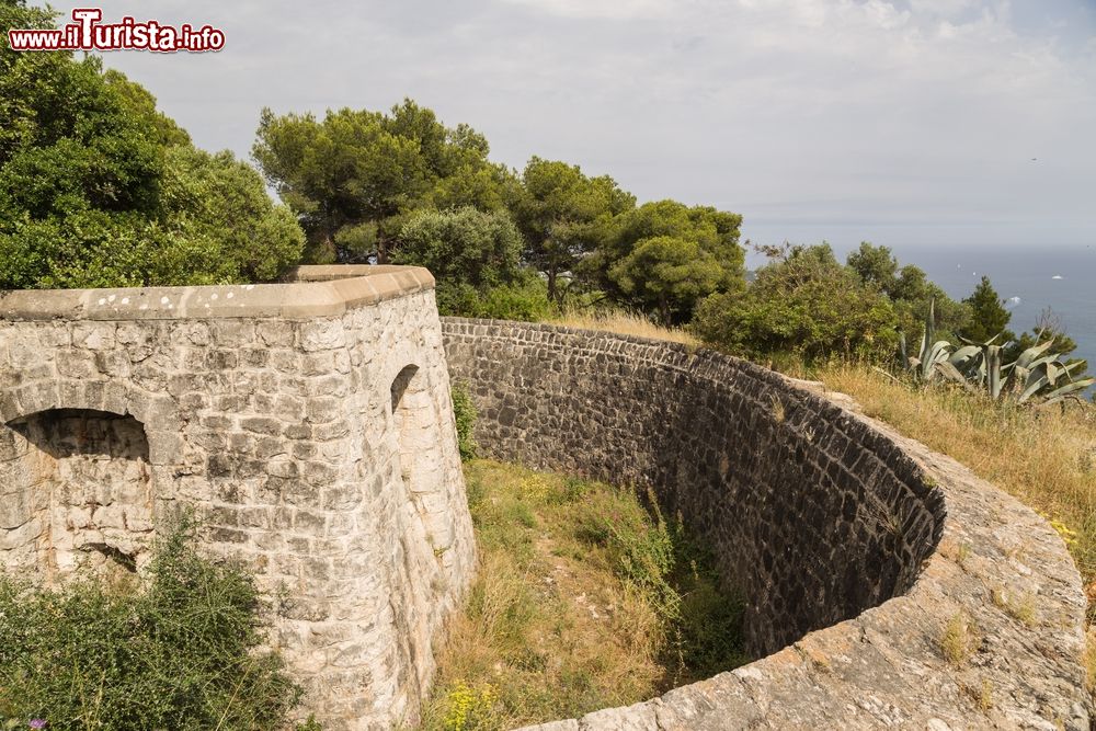 Immagine Visita al Fort Mont Boron nel parco omonimo di Nizza in Francia
