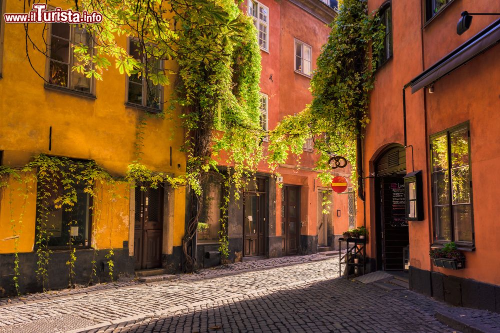 Immagine La visita al centro del quartiere Gamla Stan in estate, nel cuore di Stoccolma in Svezia