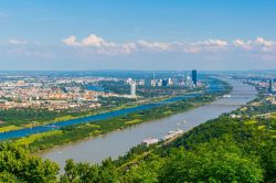 Vista della Donauinsel  e il fiume Danubio a Vienna, vista dalla collina kahlenberg in Austria