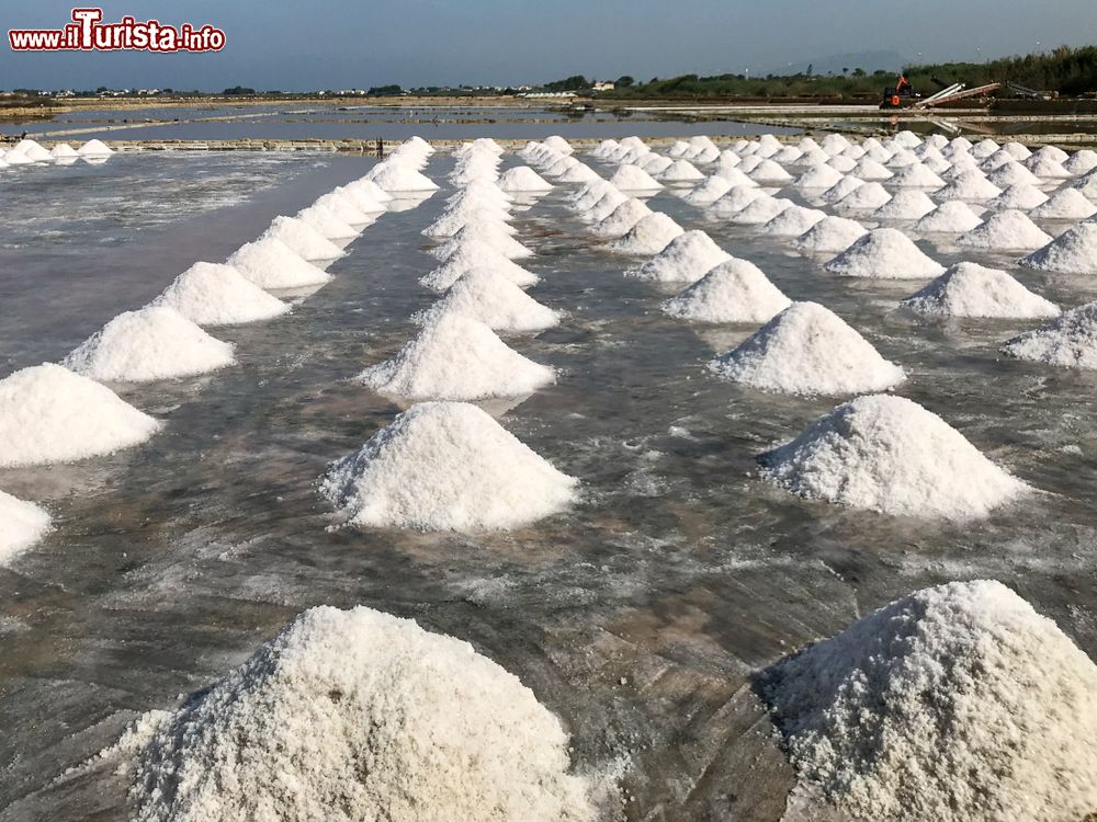 Immagine Mucchi di sale nelle saline dello Stagnone a Marsala