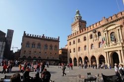 Piazza Maggiore a Bologna, sulla destra il Palazzo d'Accursio, la sede comunale felsinea - © D-VISIONS / Shutterstock.com