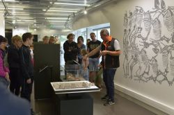 Visita guidata al Musee de Gergovie vicino a Clermont-Ferrand - ©  Musee de Gergovie / Henri Derus Photographie