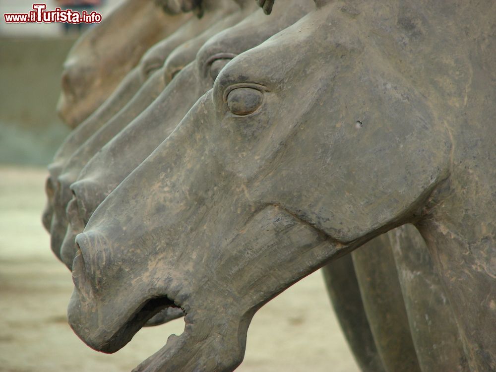 Immagine Cavalli di Terracotta nel grande museo di Xian ,sito Patrimonio UNESCO in Cina