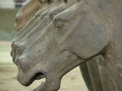 Cavalli di Terracotta nel grande museo di Xian ,sito Patrimonio UNESCO in Cina