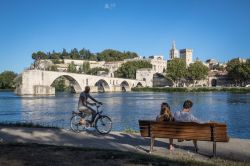 Il circuito Barthelasse, percorso ciclistico sull'isola del fiume Rodano ad Avignone in Francia