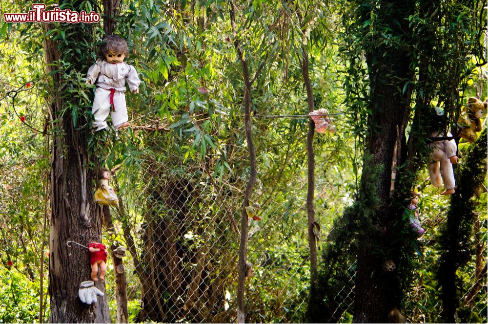 Immagine Xochimilco è una zona della capitale messicana caratterizzata da una fitta rete di canali. Qui si trova l'Isola delle Bambole (Isla de las Muñecas), visitabile dai turisti.