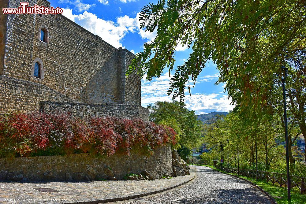 Immagine Arrivo nei pressi del maniero di Lagopesole. una fortezza fedriciana della Basilicata, provincia di Potenza - © forben / Shutterstock.com