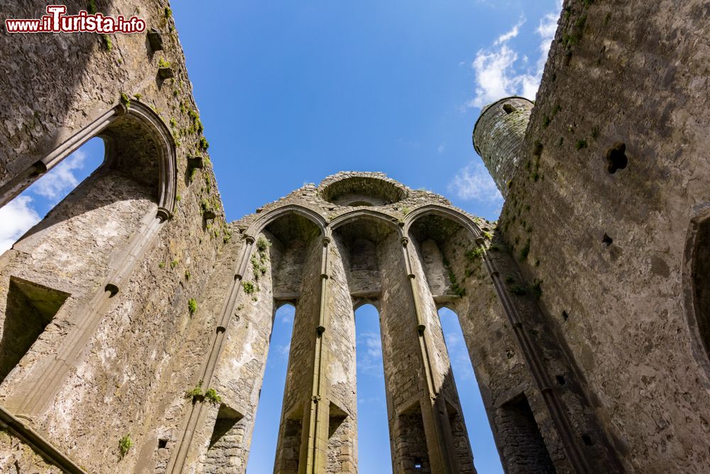 Immagine La Cattedrale della Rocca di Cashel senza il tetto