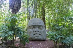 Un'enorme testa olmeca presso il Museo Nacional de Antropología (MNA) a Città del Messico - © Kit Leong / Shutterstock.com