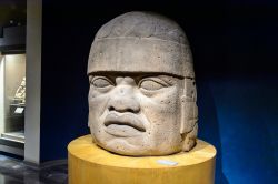 La scultura di una testa olmeca esposta al Museo Nacional de Antropología (MNA) di Città del Messico - © Anton_Ivanov / Shutterstock.com