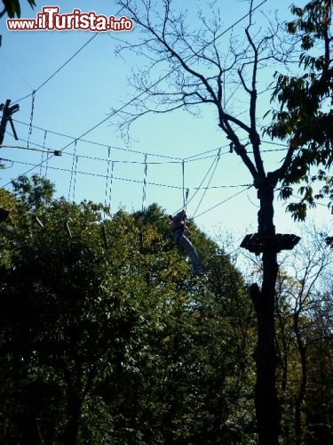 Esploraria, Parco avventura - Zocca