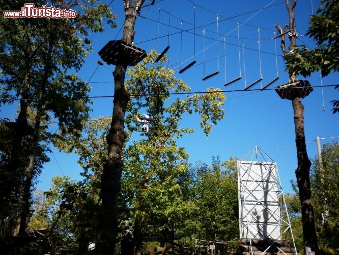 Esploraria, Parco avventura - Zocca