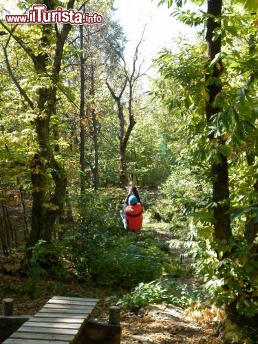 Esploraria, Parco avventura - Zocca