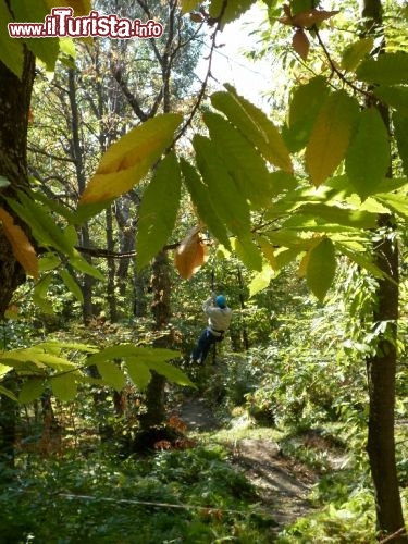 Esploraria, Parco avventura - Zocca