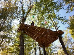 Il ristorante sull'albero a sette metri di altezza ...