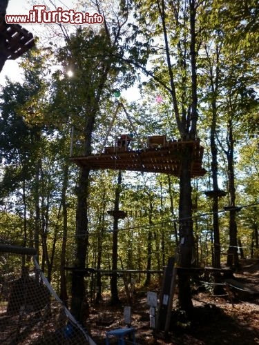 Esploraria, Parco avventura - Zocca