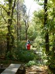 Esploraria, Parco avventura - Zocca