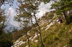 Trekking sulle Alpi Apuane: siamo presso l'Orto Botanico Pellegrini Ansaldi in Toscana