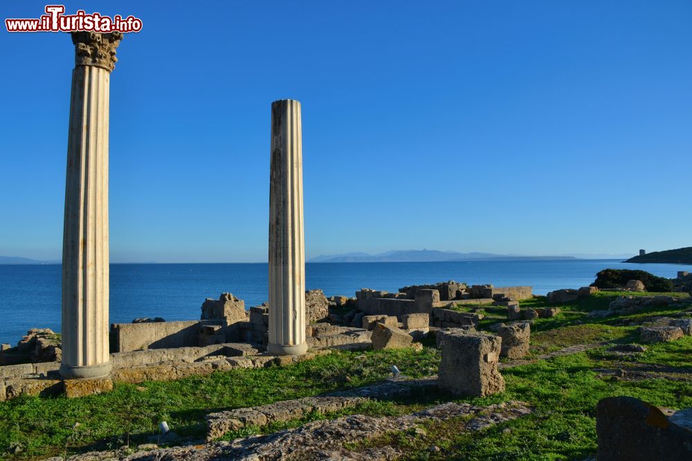 Immagine Le colonne di Tharros e i colori della Sardegna. Siamo in località San Giovanni di Sinis, frazione di Cabras.