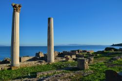 Le colonne di Tharros e i colori della Sardegna. Siamo in località San Giovanni di Sinis, frazione di Cabras.
