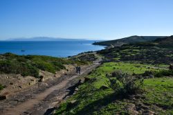 La strada principale dell'antica città di Tharros, sulla costa di Capo San Marco, nella Penisola del Sinis, in Sardegna.
