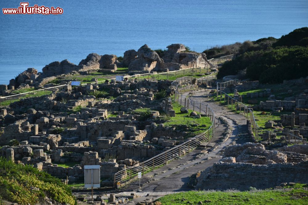 Immagine San Giovanni di Sinis: i resti degli edifici della città di Tharros, fondata tra l’VIII e il VII secolo a.C. dai Fenici e successsivamente abitata da Cartaginesi e Romani.