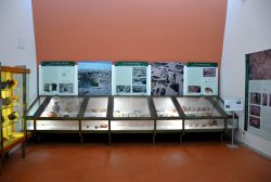 La sezione dedicata al sito preistorico di Cuccuru is Arrius nel Museo Civico di Cabras.

