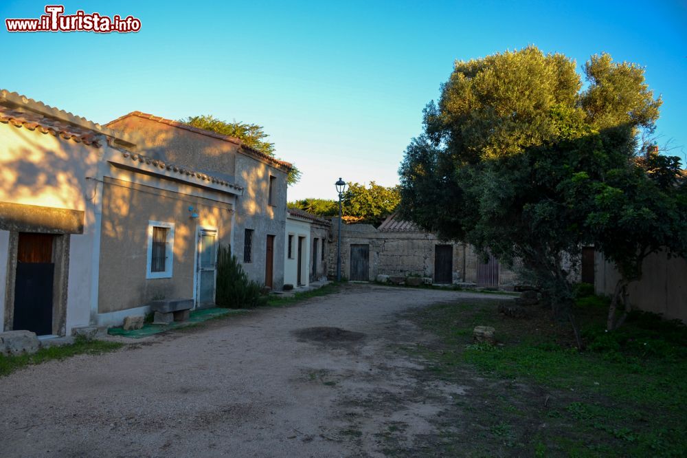 Immagine Una strada nel borgo di San Salvatore di Sinis, il cosiddetto "villaggio western".