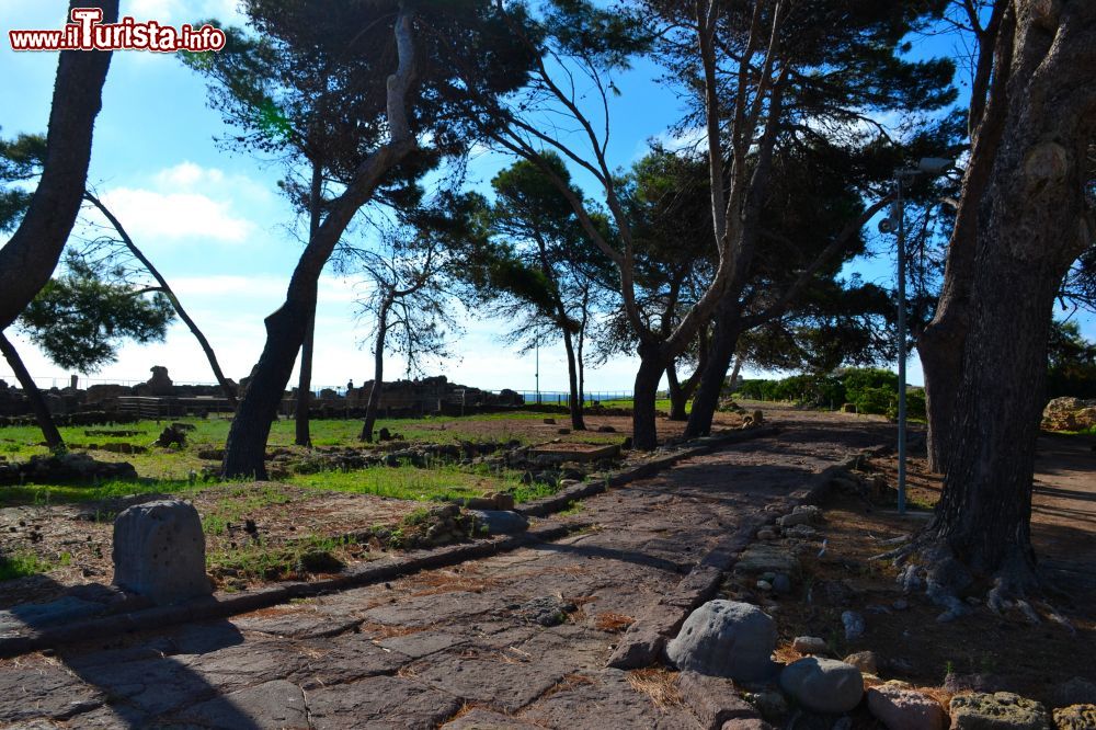 Immagine La rete stradale di Nora si è sviluppata in epoca romana suddividendo la città in quartieri.