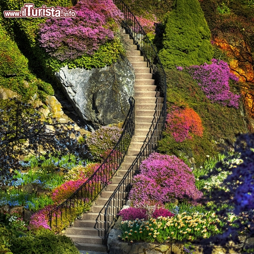 Butchart Gardens, British Columbia, Canada. I giardini Butchart sono un magnifico display di piante e fiori, situato nella baia di Bretwood Bay, nel British Columbia, la regione più occidentale del Canada. Più precisamente i giardini sono ubicati nei pressi della città di Victoria, sulla Vancouver Island. I Butchart Gardens ricevano più di un milione di visitatori ogni anno, e sono stati designati come un sito storico nazionale del Canada, grazie alla loro fama, oramai divenuta internazionale
