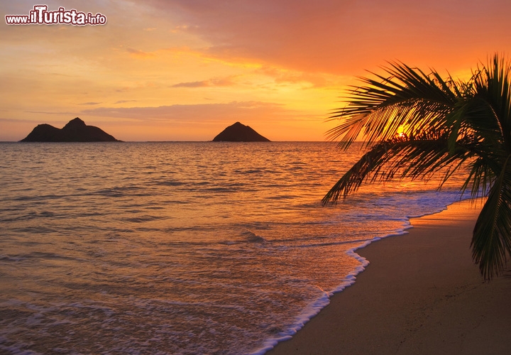 Isola di Oaho, Hawaii: la spiaggia di Lanikai è romanticissima, sia all'alba che durante le fasi di Luna piena, quando dicono diventi la spiaggia più bella del mondo