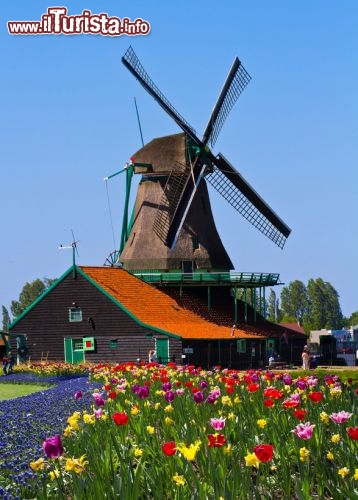 Kinderdijk, Olanda: A pochi chilometri da Rotterdam uno dei luoghi più suggestivi dell'olanda: 19 mulini a vento in legno fanno vivere intense emozioni legate al passato, quando l'energia eolica disegnava davvero angoli magici di paesaggio.