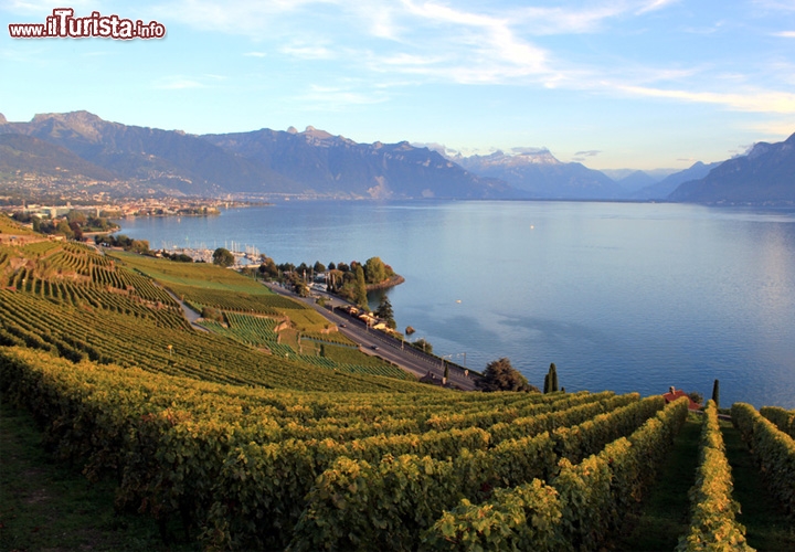Lavaux, Svizzera. Sorseggiare un buon bicchiere di rosso, sui vigneti terrazzati sul Lago di Ginevra, dichiarati Patrimonio dell'Umanità dall'UNESCO