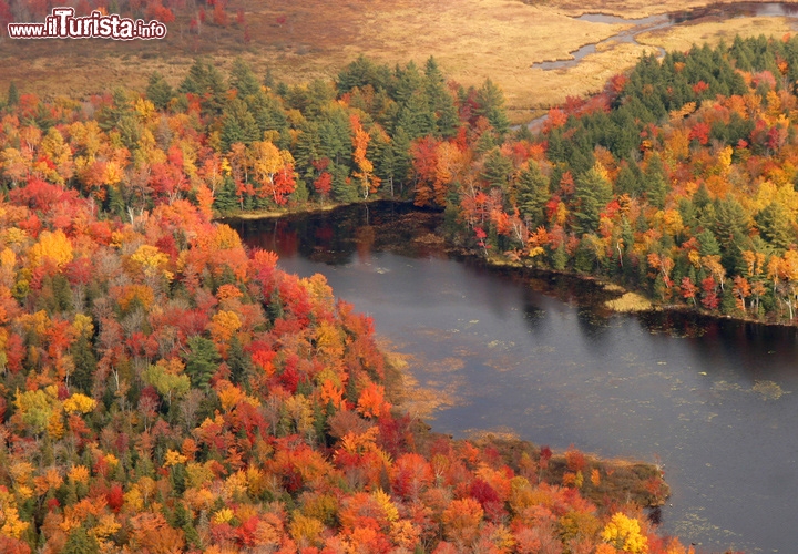Maine, Stati Uniti: il foliage autunnale accende di colore i boschi del Maine, e di passione il cuore degli innamorati che vengono qui in ottobre