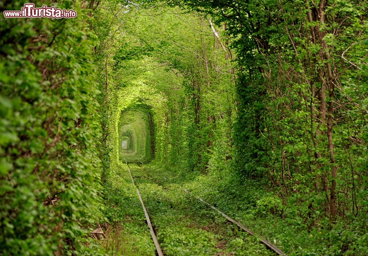 Klevan, Ucraina. In questo piccolo villaggio vicino a Rivne, il tunnel dell'amore, una fitta rete di rami incornicia i binari di una ferrovia abbandonata.