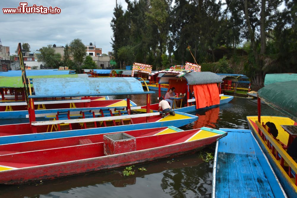 Immagine Xochimilco è famosa per le sue trajineras che percorrono i 148 km di canali e chinampas.