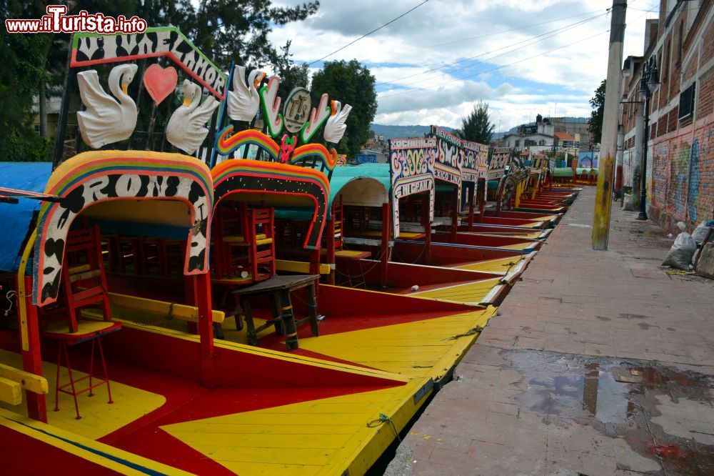 Immagine Le trajineras che partono dall'embarcadero Salitre, nel Barrio de San Cristóbal a Xochimilco,  percorrono  la Ruta del Canal Tradicional.