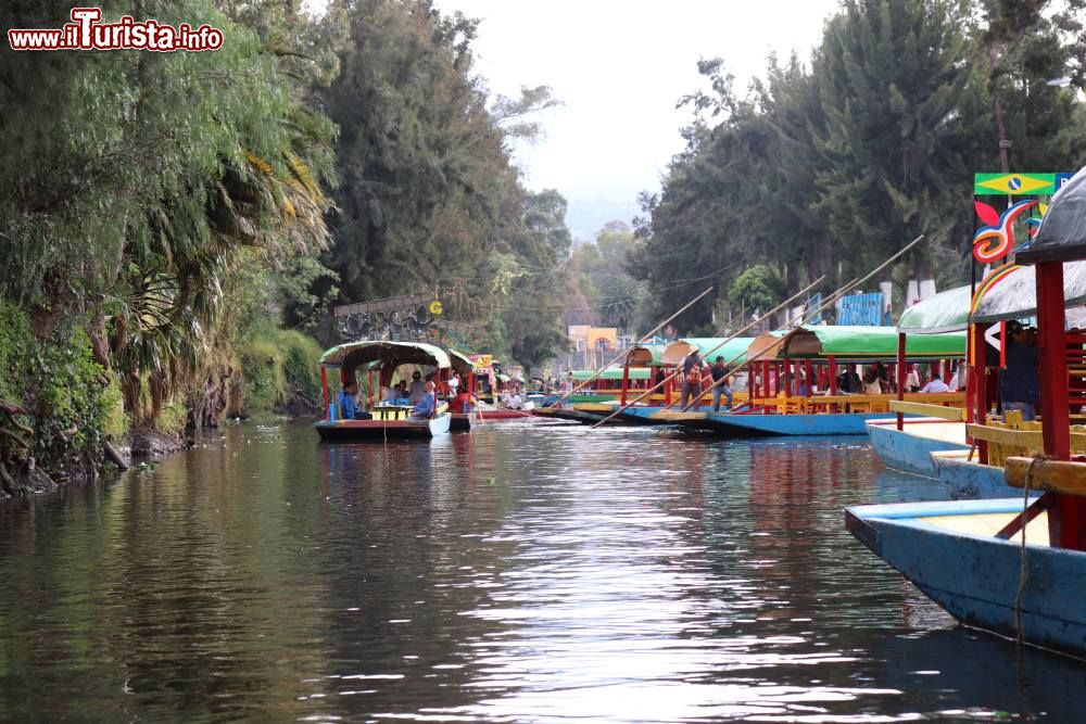 Immagine Le trajineras presso l'embarcadero Nativitas a Xochimilco (Città del Messico).